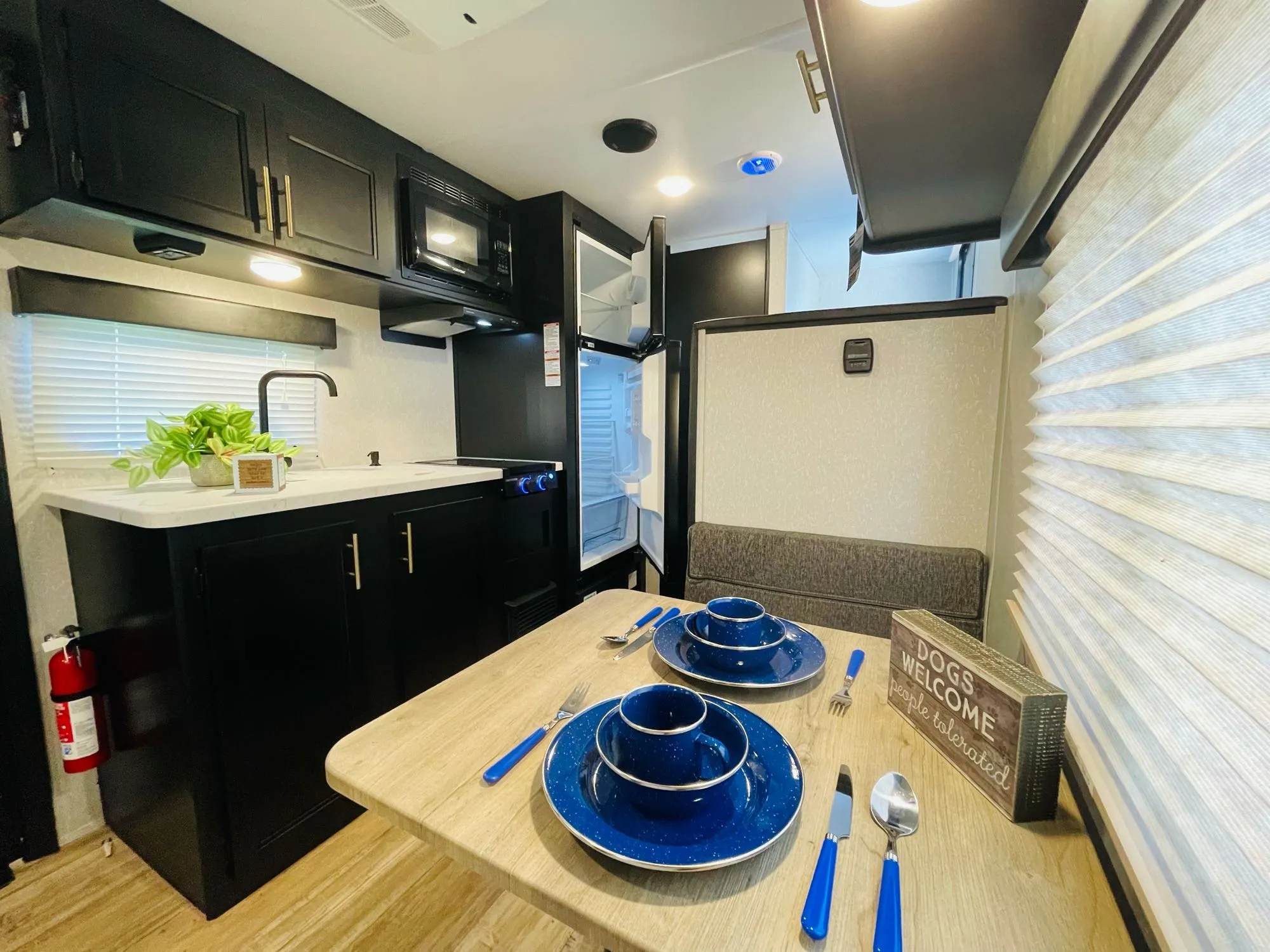 Blue Light Special — photo 2